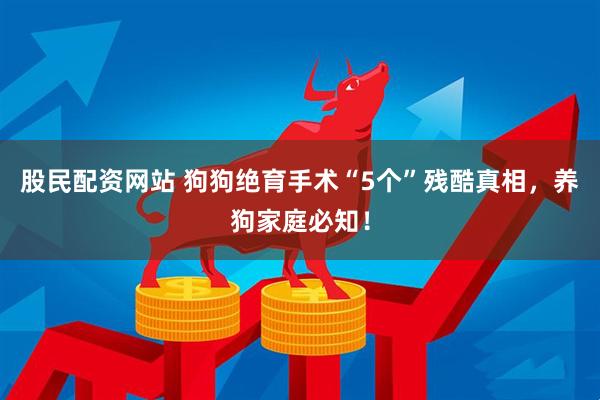 股民配资网站 狗狗绝育手术“5个”残酷真相，养狗家庭必知！